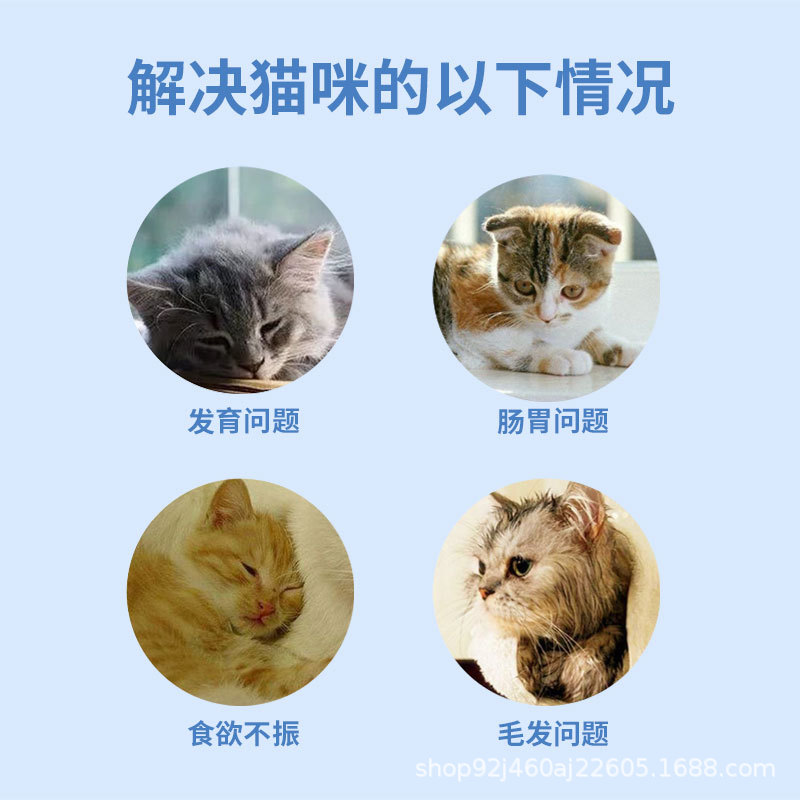 折耳猫猫粮厂家批发 美国折耳猫涨化猫粮批发 折耳猫喜欢吃的猫粮