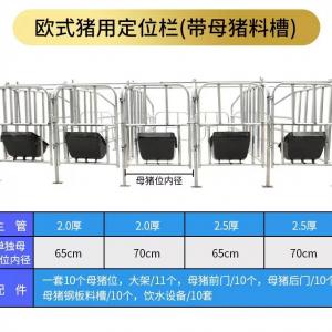 养猪场母猪定位栏限位栏