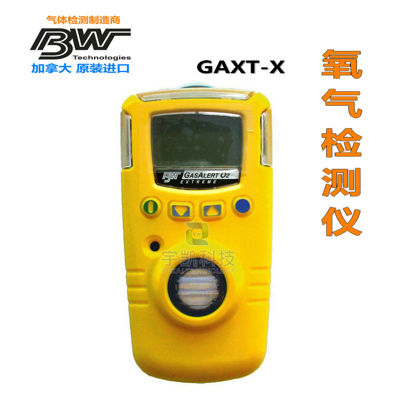 广东深圳加拿大BW GAXT-X O2氧气检测仪