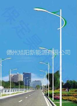 山东德州8米灯杆LED路灯  60W路灯批量定做价格