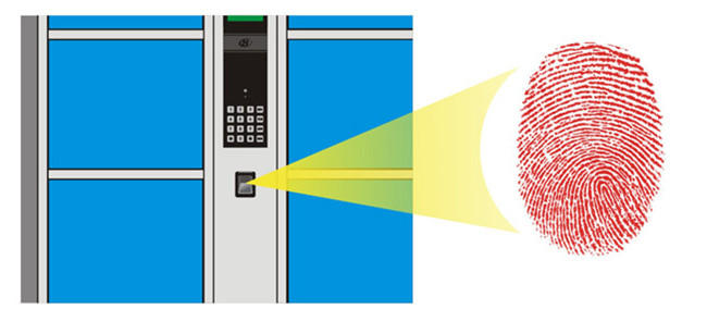 广东广州指纹密码柜厂家、娄底指纹柜、强固质量好(图)