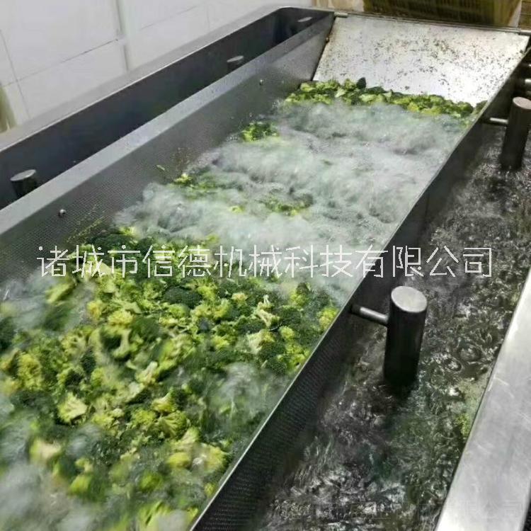 高压水流蔬菜清洗机厂家  气泡清洗机净菜加工设备清洗风干线