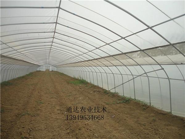 河南安阳供应用于的建设钢架大棚塑料薄膜蔬菜大棚