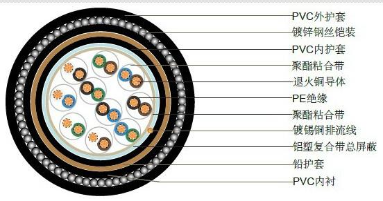 供应BS5308标准铅护套铠装仪表电缆