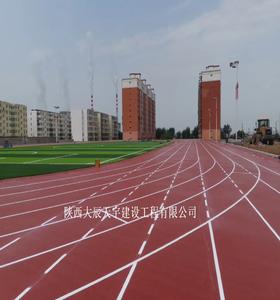 大辰天宇球场地坪 丙烯酸球场 硅PU球场 塑胶跑道 人造草坪 体育场地 羽毛球场地面